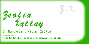 zsofia kallay business card